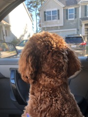 All hail the co-pilot!  :)