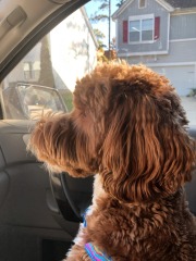 All hail the co-pilot!  :)