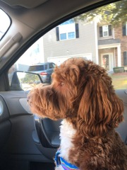 All hail the co-pilot!  :)