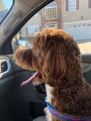 All hail the co-pilot!  :)