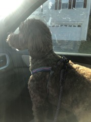 All hail the co-pilot!  :)