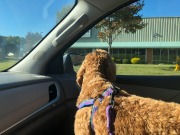 Enjoying the view...