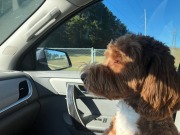 Enjoying the view...