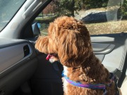 Enjoying the view...