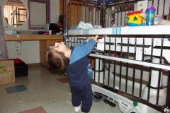 These are not uneven bars!