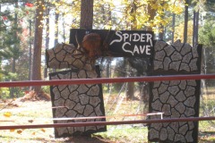 The entrance to the spider cave...