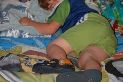 Get the impression he likes it?