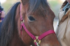 Star posing for the camera!