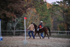 Alex goes to the trot...