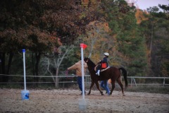 Alex goes to the trot...