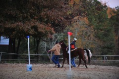 Alex goes to the trot...