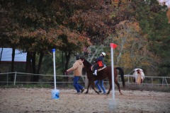 Alex goes to the trot...