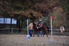Alex goes to the trot...