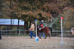 Alex goes to the trot...
