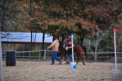Alex goes to the trot...