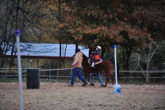 Alex goes to the trot...