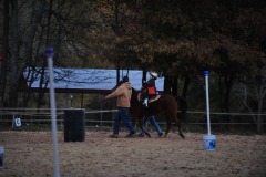 Alex goes to the trot...