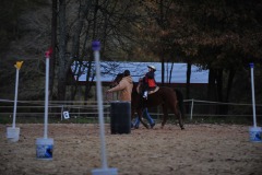 Alex goes to the trot...