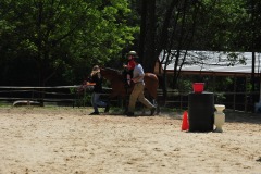 Trot!