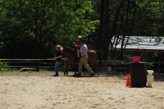 Trot!