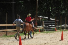 Alex showing his balance during the trot...