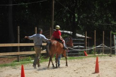 Alex showing his balance during the trot...