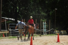 Alex showing his balance during the trot...