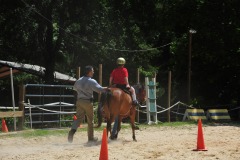 Alex showing his balance during the trot...