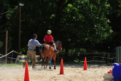 Alex showing his balance during the trot...