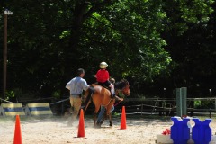 Alex showing his balance during the trot...