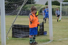 Alex in the net...