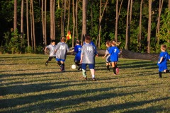 Getting into the middle of the scrum...