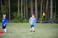 Alex prowling the field...