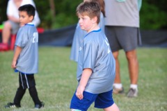 Alex prowling the field...