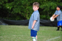 Alex prowling the field...