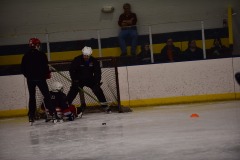 DSC_4151