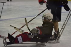 emw_20151206_120648_Cat5_Canes_0299