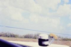 Florida countryside