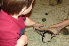 Wow!  Your shells have residents!