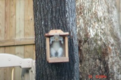 Hey screw!  Wanna let me out of the joint?