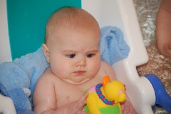 Intense staring at the duck...