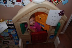 Build a better Katie trap...