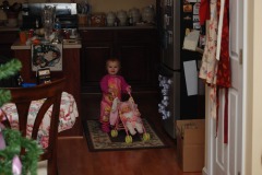 Little miss loves her stroller and baby!