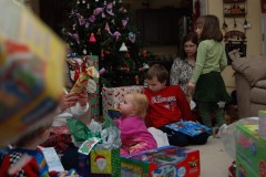 Something catches Katie's attention!