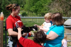 Alexander petting the baby goat...