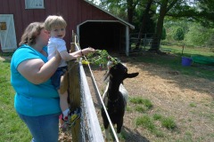 Alexander decides to give Peekaboo an early lunch...