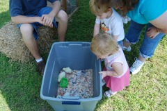 Katie and Alex checking out the baby chicks...