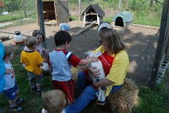 So of course Nicholas asks for the lady to pull out one of the hens...