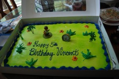 Vincent's birthday cake...