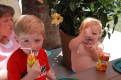 They look so innocent...